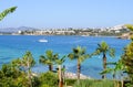 Beach with palm trees in Bodrum Royalty Free Stock Photo