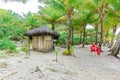 Beach with Palm trees and a ring buoy