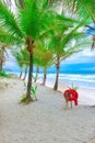 Beach with Palm trees and a ring buoy