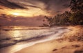 Beach palm trees sunset sea surf waves rock stone coastline scenery with orange dramatic sky as tropical island background