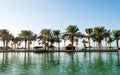 Beach with palms in Dubai