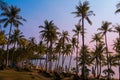 Beach with palms at sunset