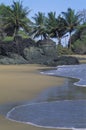 Beach with palms, Tobago Royalty Free Stock Photo