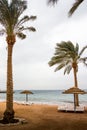 Beach with palms and umbrellas in a Windy and cloudy day Royalty Free Stock Photo