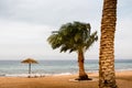 Beach with palms and umbrellas in a Windy and cloudy day Royalty Free Stock Photo