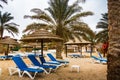 Beach with palms and umbrellas in a Windy and cloudy day Royalty Free Stock Photo