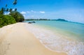 The beach panorama with palm trees