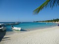 Beach Paradise Caribbean Honduras Island