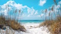 Beach Path Through Sea Oats and Sand Dunes Royalty Free Stock Photo