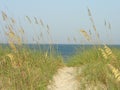 Beach Pathway