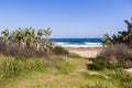 Beach Pathway Ocean Royalty Free Stock Photo