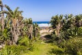 Beach Pathway Ocean Royalty Free Stock Photo