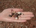 Beach pebbles Royalty Free Stock Photo