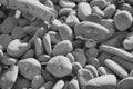 Beach Pebbles Royalty Free Stock Photo