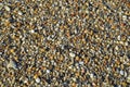 Beach Pebbles