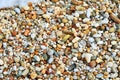 Beach pebbles Royalty Free Stock Photo