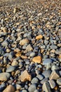 Beach pebbles - Salika Wildlife Reserve Royalty Free Stock Photo