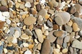 Beach pebbles and seashells
