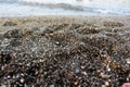 Beach pebbles seacoast nature