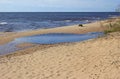 Beach on Peipsi (Chudskoe) lake