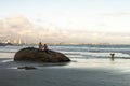 Beach in PeruÃÂ­be