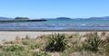 Beach, Petone wharf Wellington Harbour, New Zealand Royalty Free Stock Photo