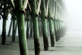 Beach Pier Royalty Free Stock Photo