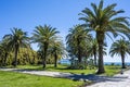 Beach in Pitsunda, Republic of Abkhazia. Clear sunny day May 13, 2021 Royalty Free Stock Photo