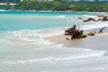 Beach at Playa Blanca