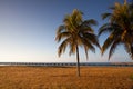 On the beach Playa Giron, Cuba. Royalty Free Stock Photo