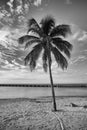 On the beach Playa Giron, Cuba. Royalty Free Stock Photo