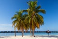 On the beach Playa Giron, Cuba. Royalty Free Stock Photo