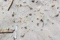 Beach polluted with microplastics