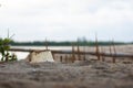 Beach pollution. Plastic bottles and other trash on sea beach. Ecological concept. earth day concept.globe pollution. Garbage on Royalty Free Stock Photo