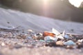 Beach pollution. Plastic bottles and other trash on sea beach. Ecological concept. earth day concept. globe pollution. Garbage on Royalty Free Stock Photo