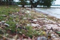 Beach pollution. Plastic bottles and other trash on sea beach. Ecological concept. earth day concept.globe pollution. Garbage on Royalty Free Stock Photo