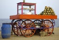 On the beach in Pondicherry Royalty Free Stock Photo