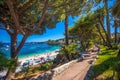 Beach promenade in the Beaulieu-sur-mer village with palm trees, French riviera, France