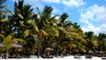 Beach at Punta Cana Royalty Free Stock Photo