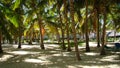 Beach at Punta Cana Royalty Free Stock Photo