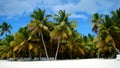 Beach at Punta Cana Royalty Free Stock Photo