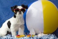 Beach puppy.