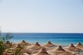 Beach, Red Sea, umbrellas, chaise lounges, branches of date palm, africa, tropical