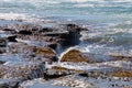 Beach Reef in the Indian Ocean Royalty Free Stock Photo