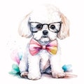 Pastel Headband Bandana and Glasses Create a Chic Look for This Bichon Frise Puppy AI Generated