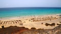 Beach in the resort of Playa de Esquinzo, Fuerteventura, Canary Islands, Spain