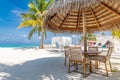 Tranquility beach lounge Tropical beach in Maldives with palm trees and vibrant inviting lagoon