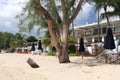 Beach ResturantsHotels Royalty Free Stock Photo