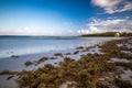 Beach at riviera maya near Cancun and Tulum in Mexico on a sunny Royalty Free Stock Photo