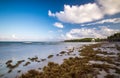 Beach at riviera maya near Cancun and Tulum in Mexico on a sunny Royalty Free Stock Photo